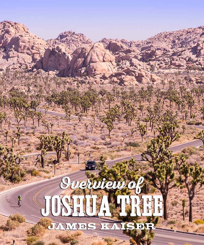List 94+ Images What Is The Joshua Tree In The Bible Excellent
