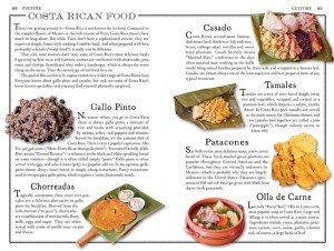 Costa Rican food