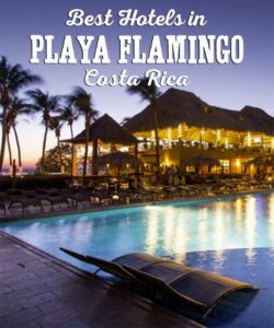 Best Hotels in Playa Flamingo, Costa Rica