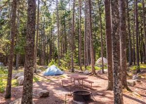 Blackwoods Campground, Acadia National Park