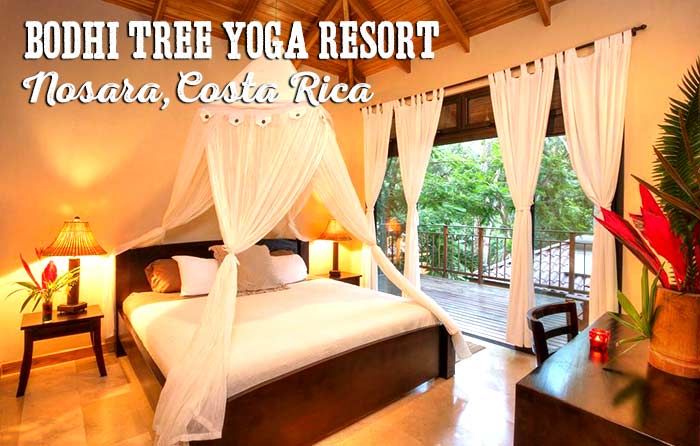 Bodhi Tree Yoga Resort, Nosara, Costa Rica