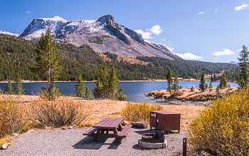 Camping Near Tioga Pass