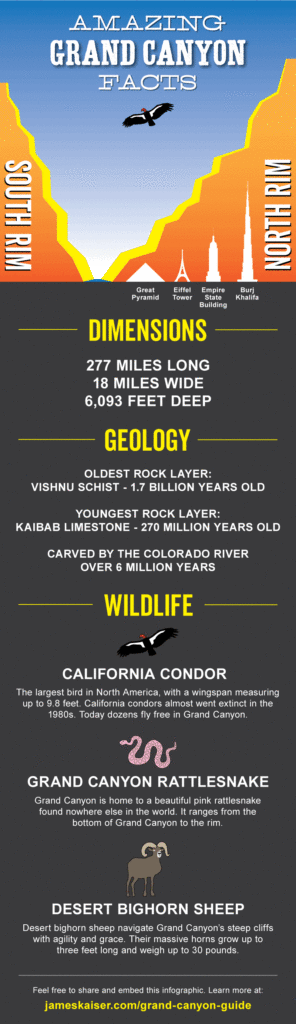 Grand Canyon Infographic