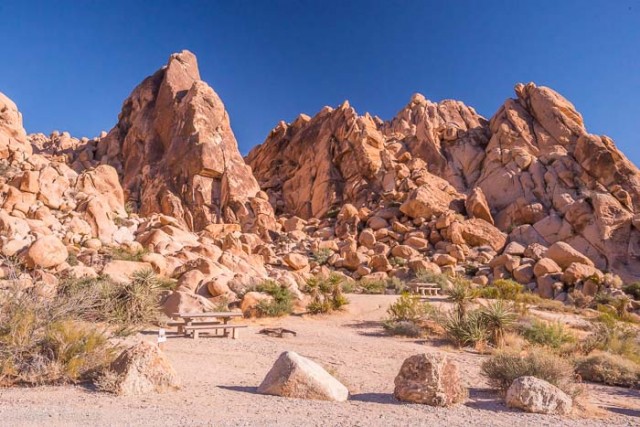 Best Camping in Joshua Tree National Park • James Kaiser