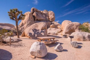 Belle Campground, Joshua Tree National Park