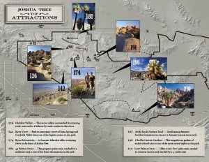 Joshua Tree: The Complete Guide, highlights