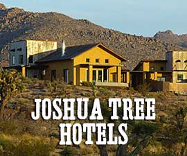 Joshua Tree Hotels Guide
