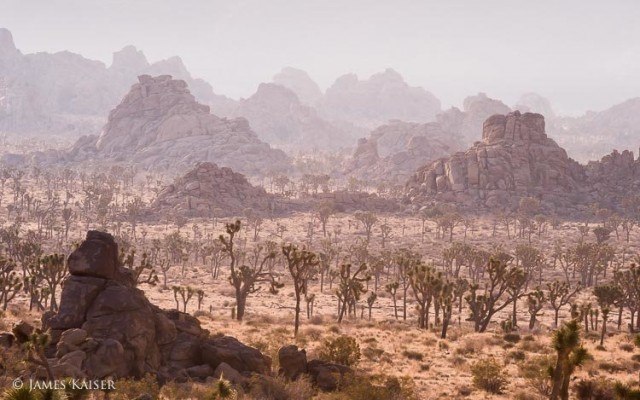 Joshua Tree National Park Guide โข James Kaiser