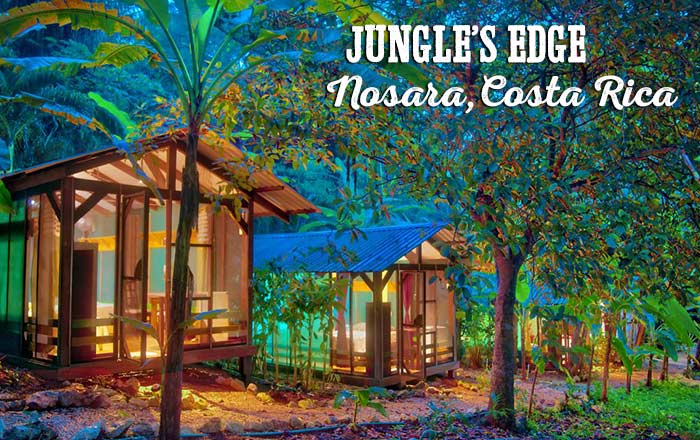 Jungle's Edge, Nosara, Costa Rica