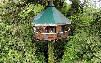 Best Treehouse Lodges