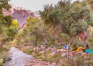 Bright Angel Campground, Grand Canyon National Park