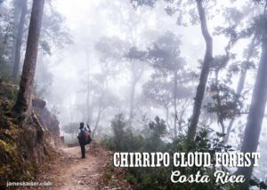 Chirripo Cloud Forest, Costa Rica