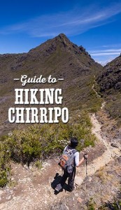 Chirripo Guide
