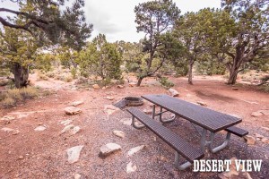 Desert View Campground, Grand Canyon