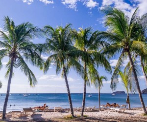 Costa Rica beach with palms