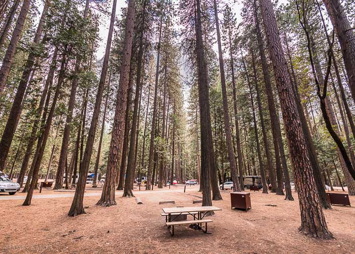 Upper Pines Campground, Yosemite Valley