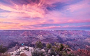 Best times to visit Grand Canyon National Park's South Rim