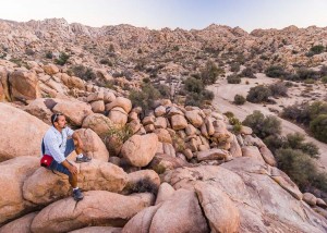 Joshua Tree best times to visit