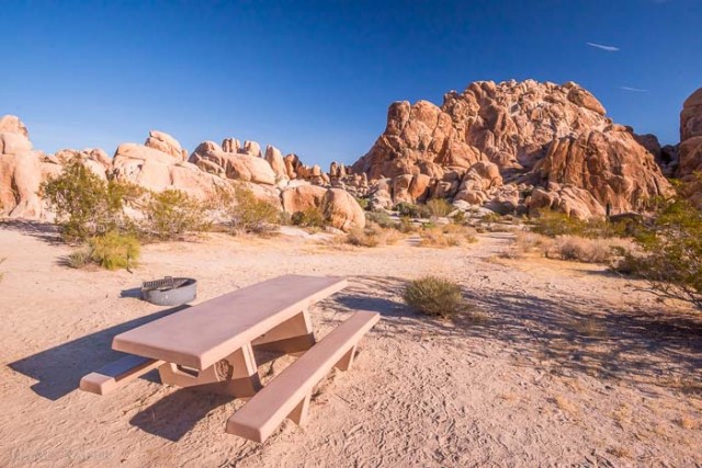 Escape to the Stars: Your Guide to Indian Cove Campground, Joshua Tree