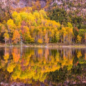 Fall foliage on Beaver Pond, Acadia