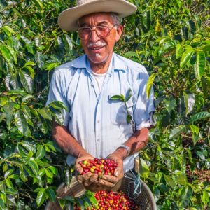 Coffee picker, Zona de los Santos, Costa Rica