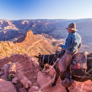 Mule rider, South Kaibab Trail, Grand Canyon