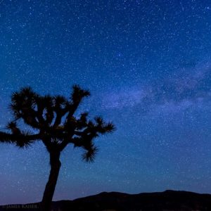 Stars and the Milky Way, Joshua Tree National Park