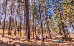 Camping near Yosemite National Park's Big Oak Flat Entrance