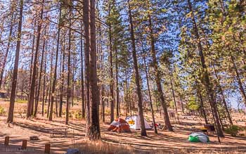Camping Near Big Oak Flat Entrance