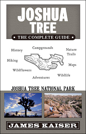 Joshua Tree: The Complete Guide