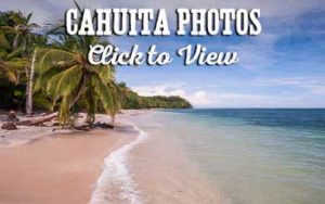 Cahuita National Park photos