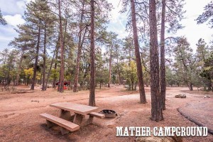 Picnic table, Mather Campground
