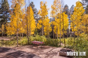 Fall colors, North Rim Campground