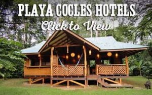 Playa Cocles Hotels