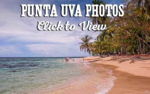 Punta Uva photos