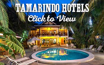 Tamarindo hotels
