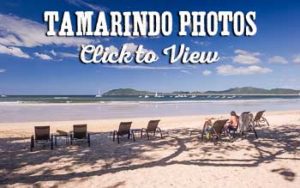 Tamarindo photos