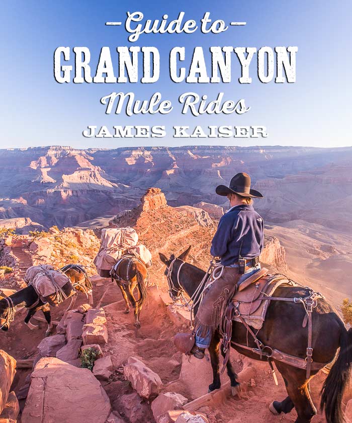 Guide to Grand Canyon Mule Rides