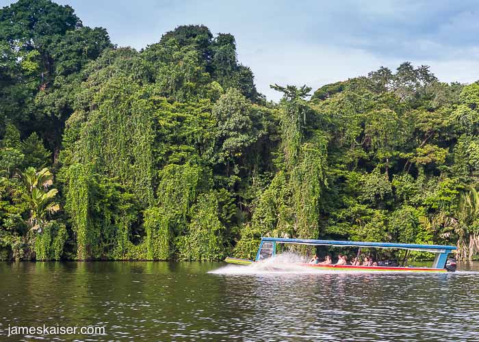 Boat Tortuguero National Park, Costa Rica