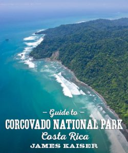 Guide to Corcovado National Park in Costa Rica