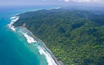 Guide to Corcovado National Park, Costa Rica