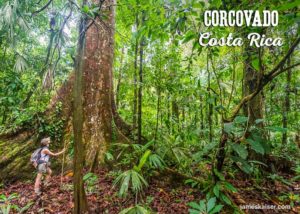 Corcovado National Park, rainforest hiking, Costa Rica