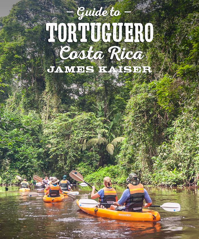 Guide to Tortuguero National Park, Costa Rica