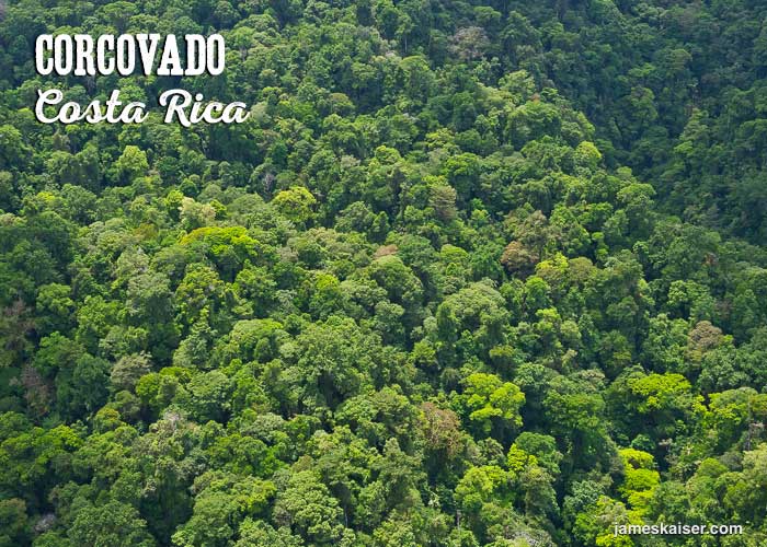 Aerial view of Corcovado rainforest canopy