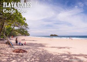 Playa Cocles beach palm trees, Costa Rica