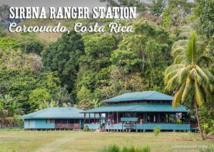 Sirena Ranger Station is a small collection of buildings