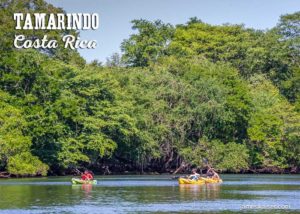 Kayaking in the Tamarindo estuary, Costa Rica
