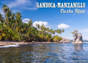 Palm trees line the shore of the Gandoca-Manzanillo Refuge, Costa Rica