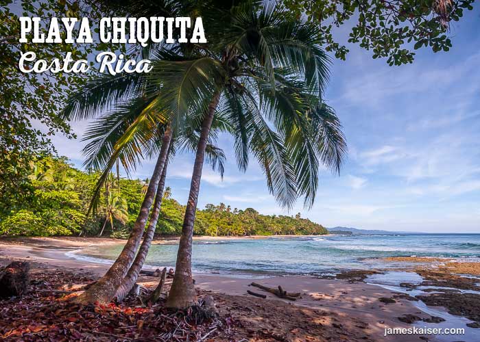 Palm trees at Playa Chiquita, Costa Rica