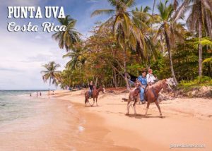 Punta Uva horseback riding, Costa Rica